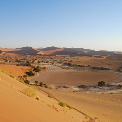 desert namib