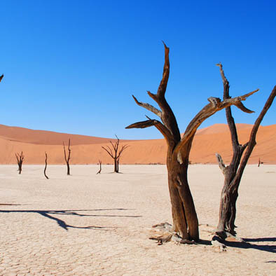 desert namib 2
